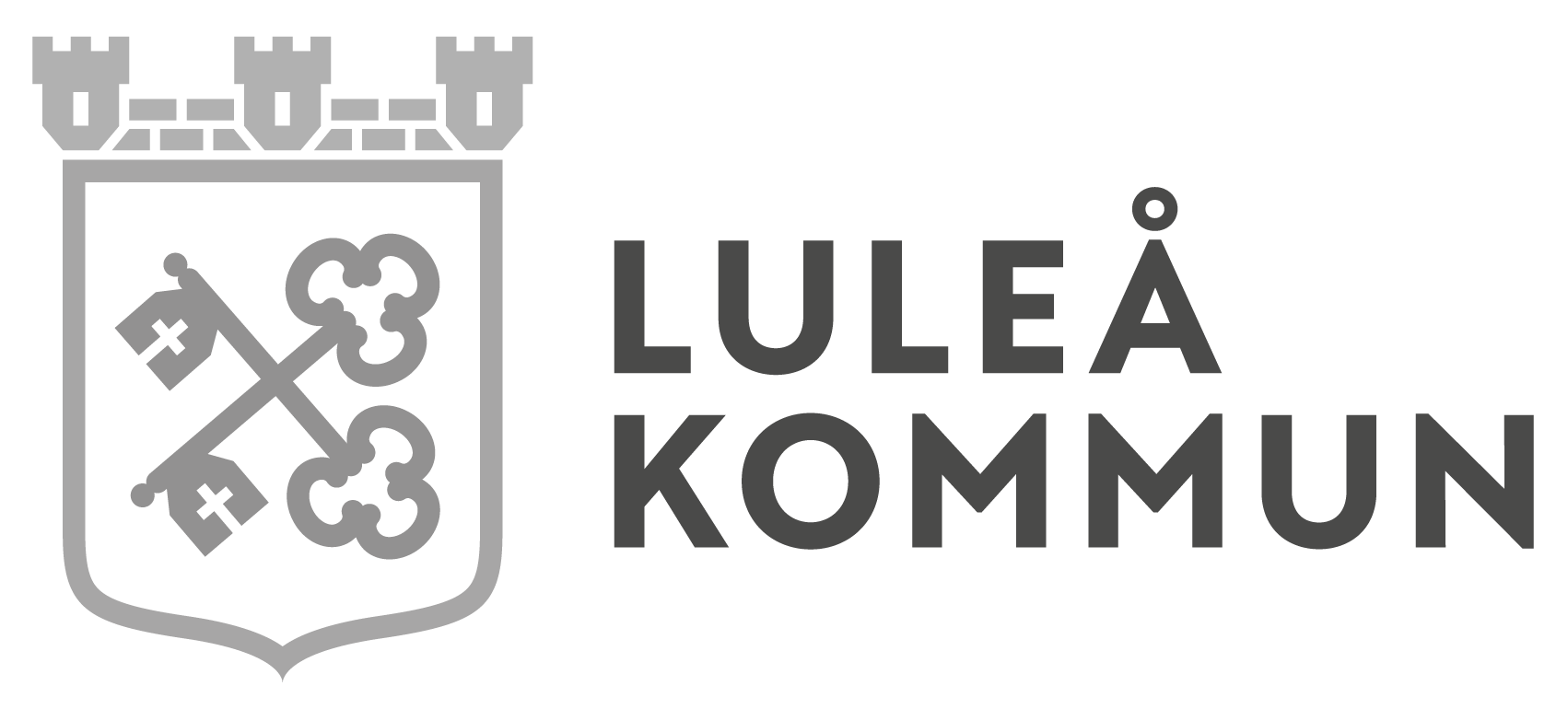 Lk Logo 2Rad Gra